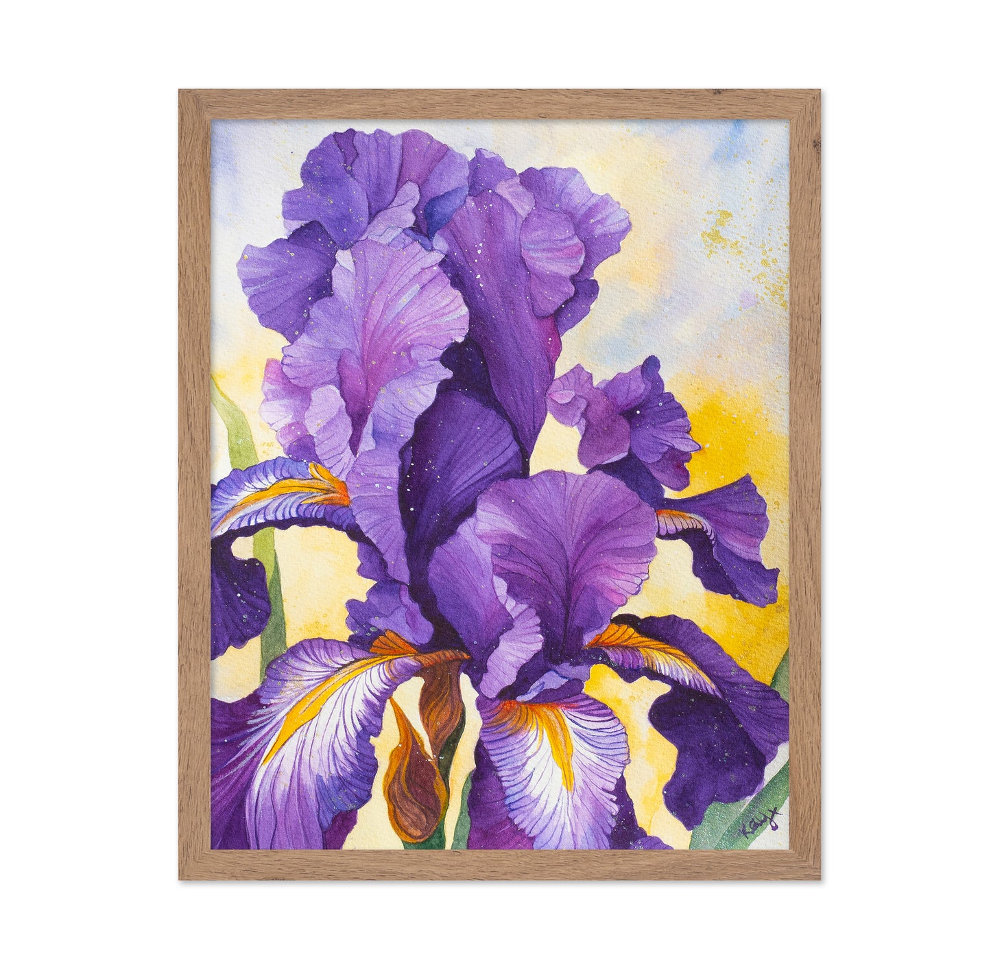 Iris