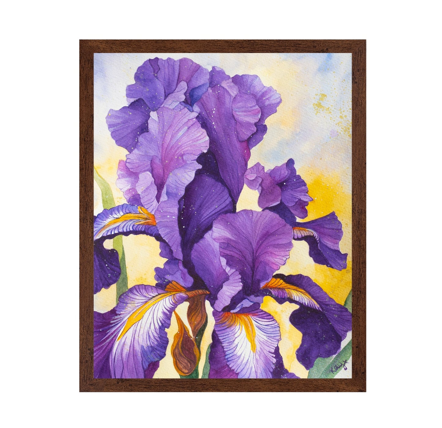 Iris