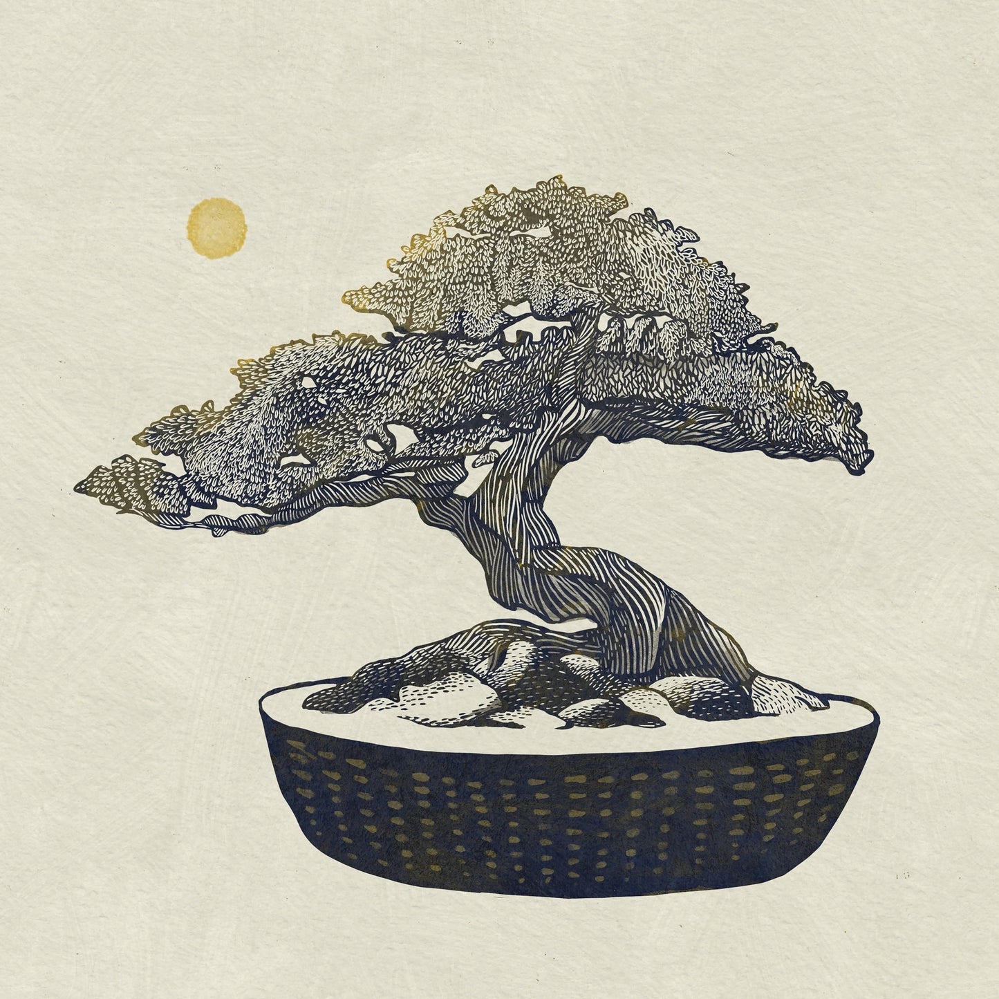 Bonsai Tree