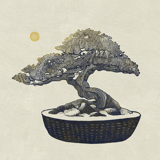 Bonsai Tree