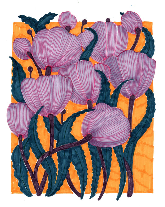 Purple Tulips