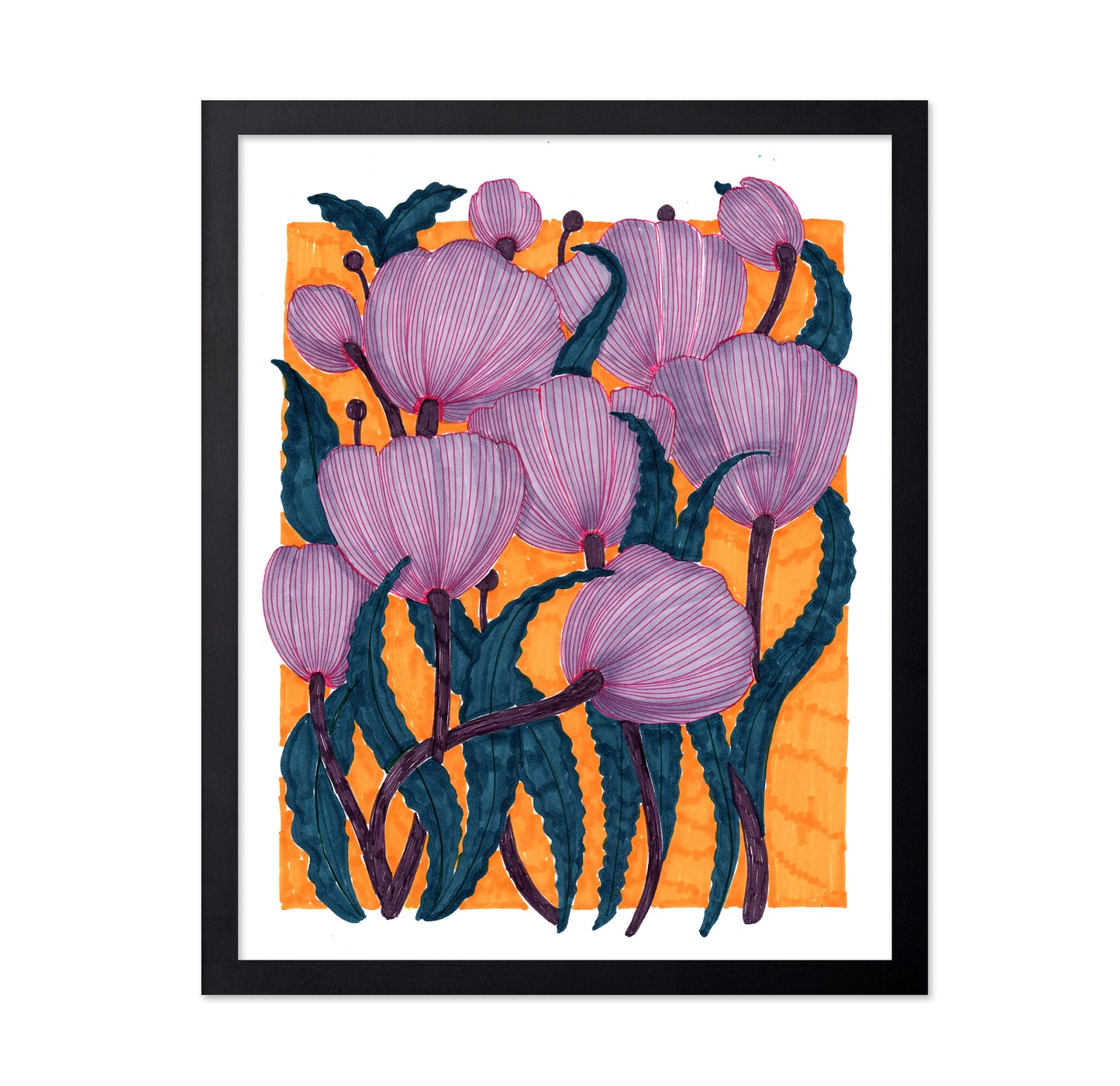 Purple Tulips