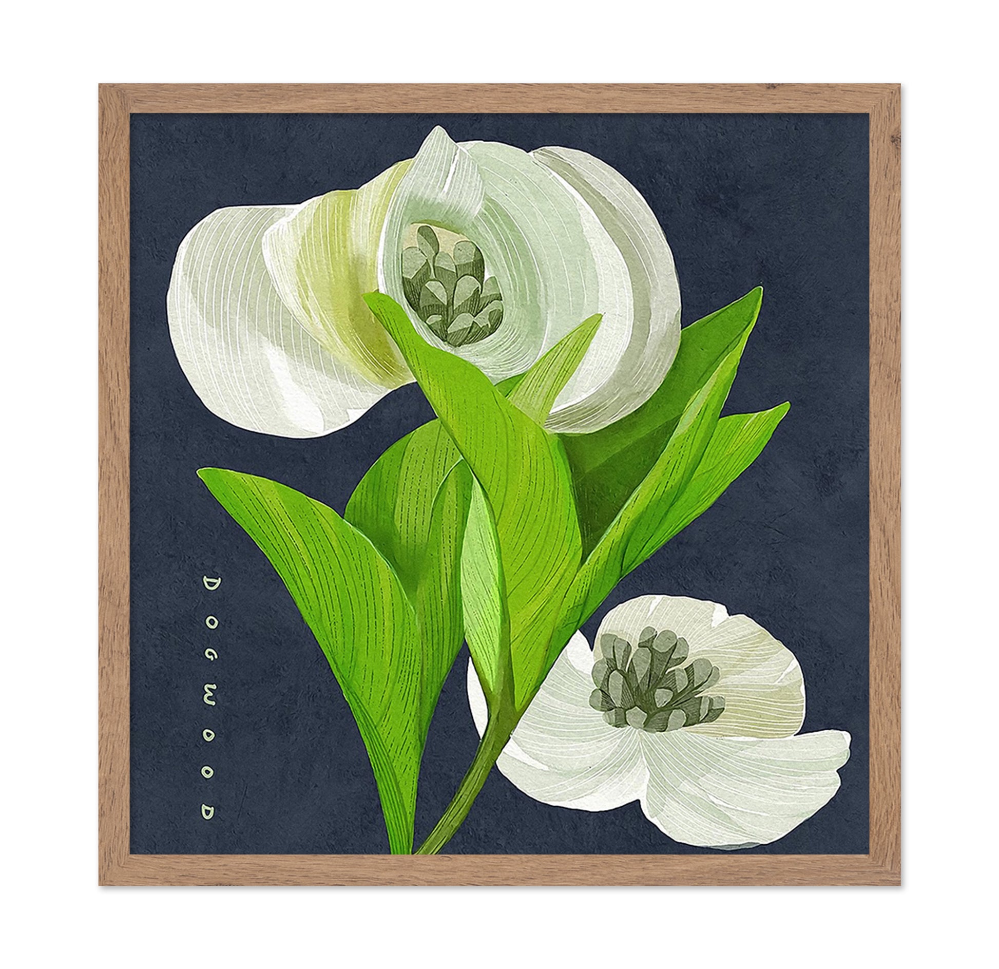 White Dogwood on Navy