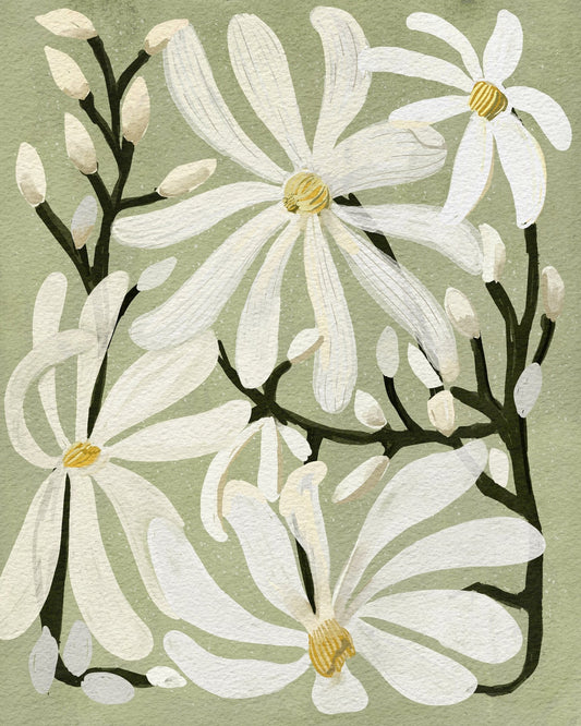 Star Magnolia Florals