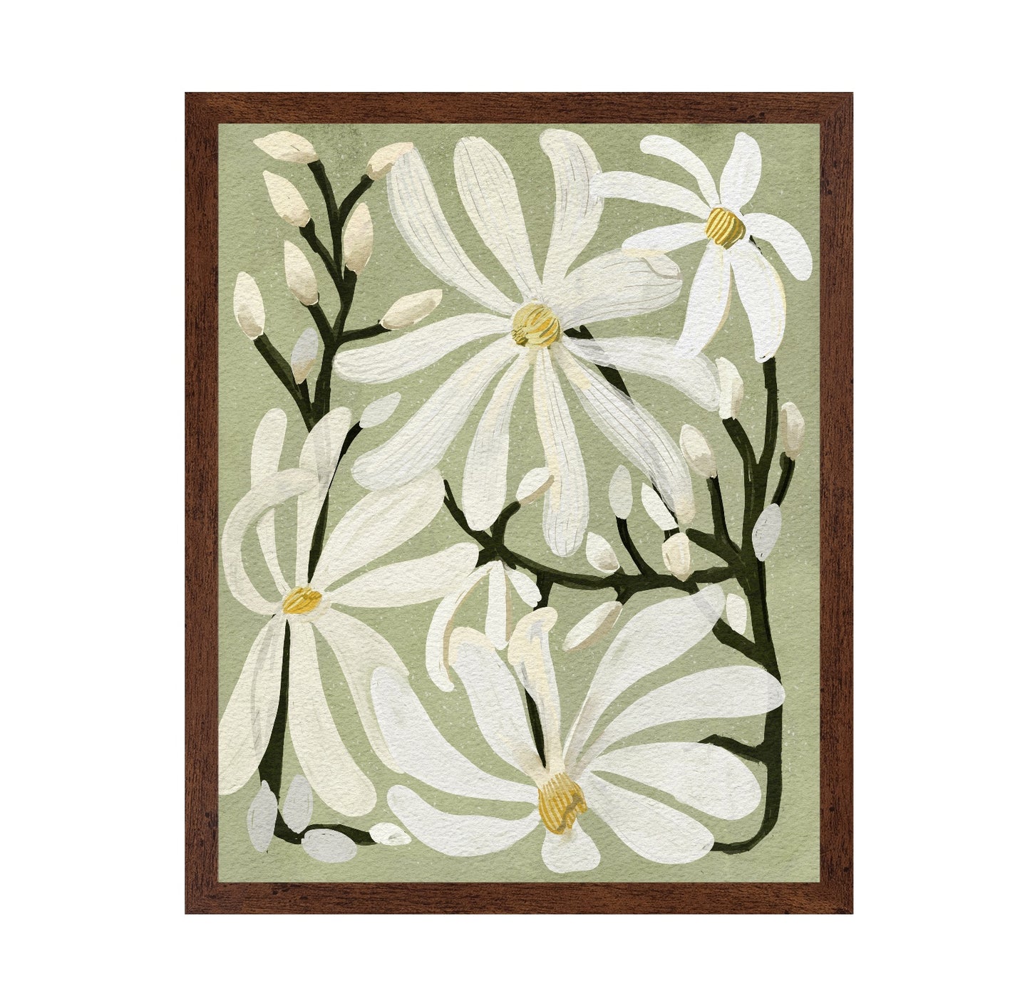 Star Magnolia Florals