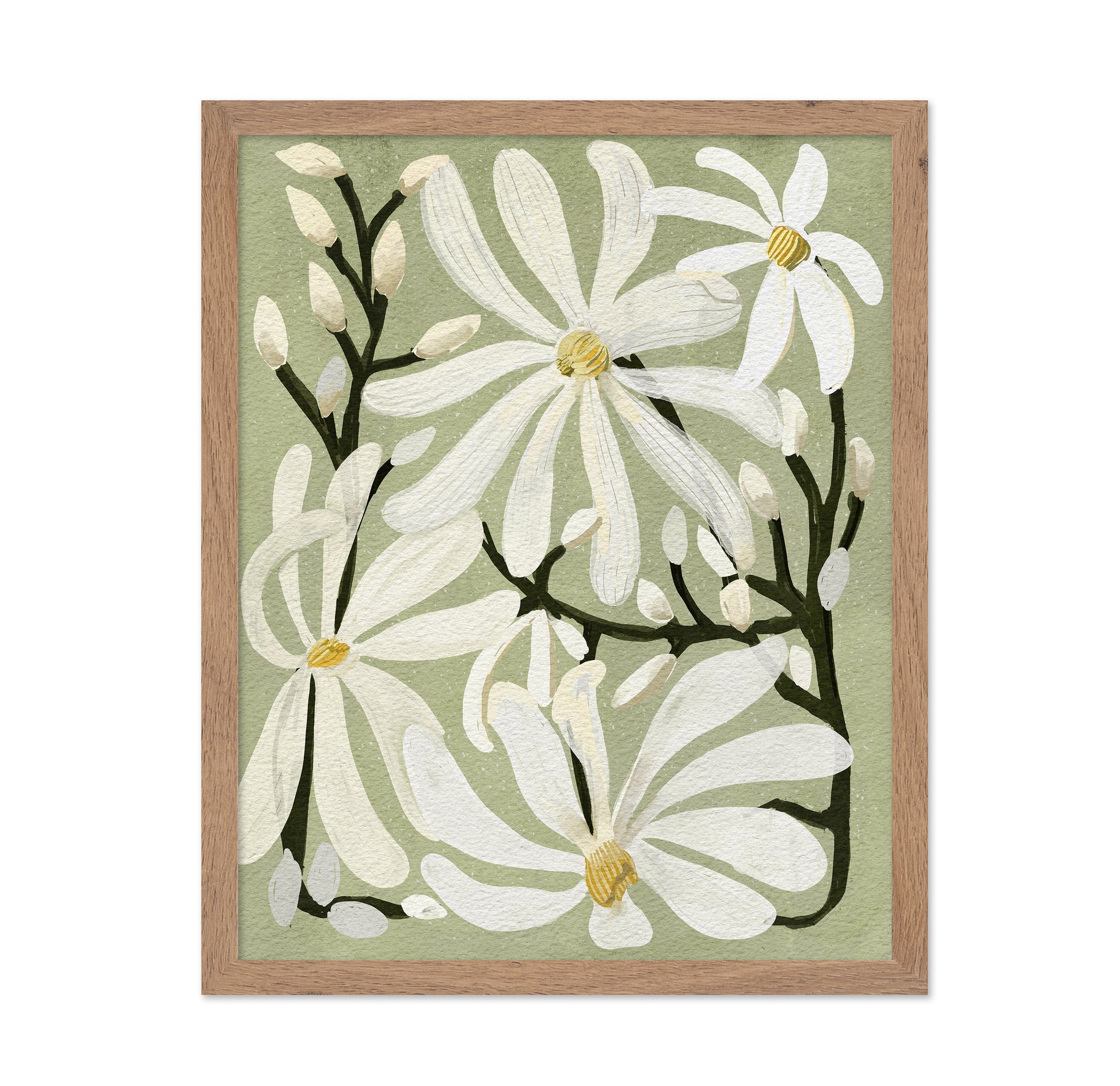 Star Magnolia Florals