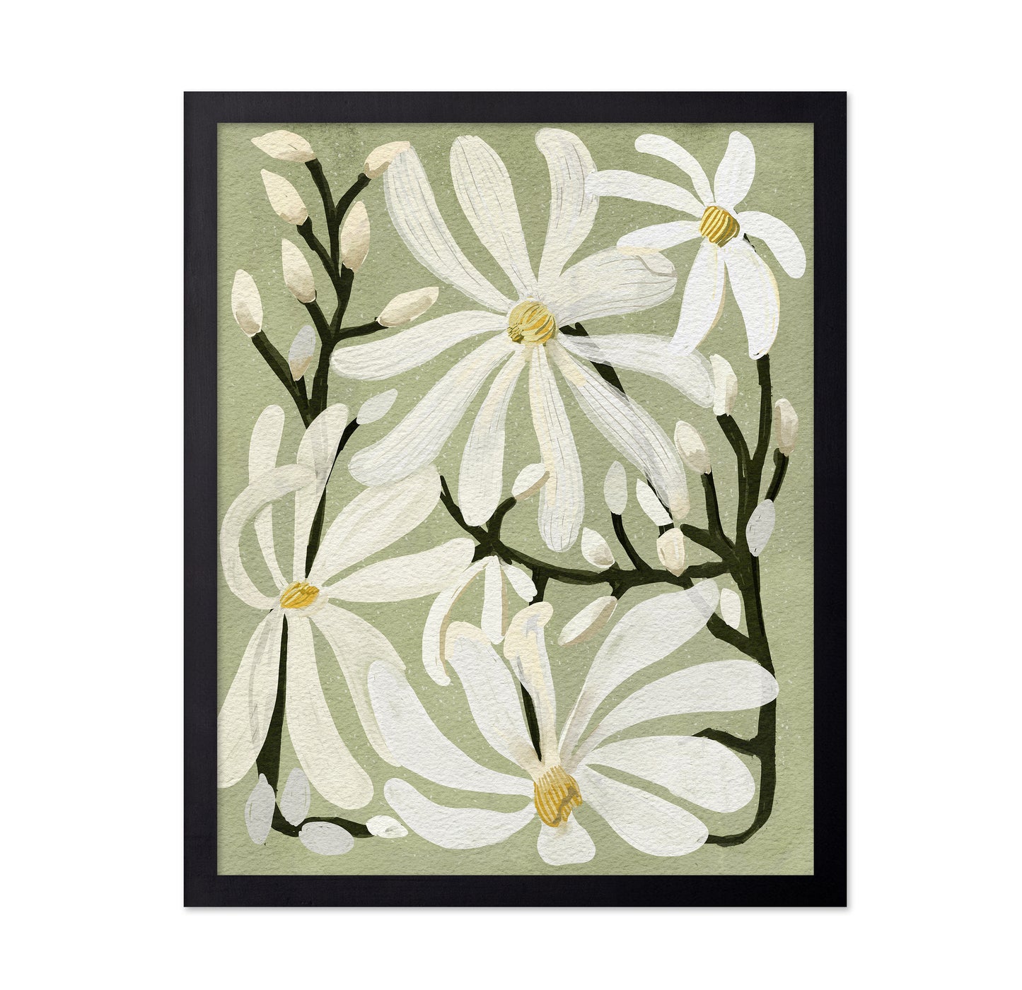 Star Magnolia Florals