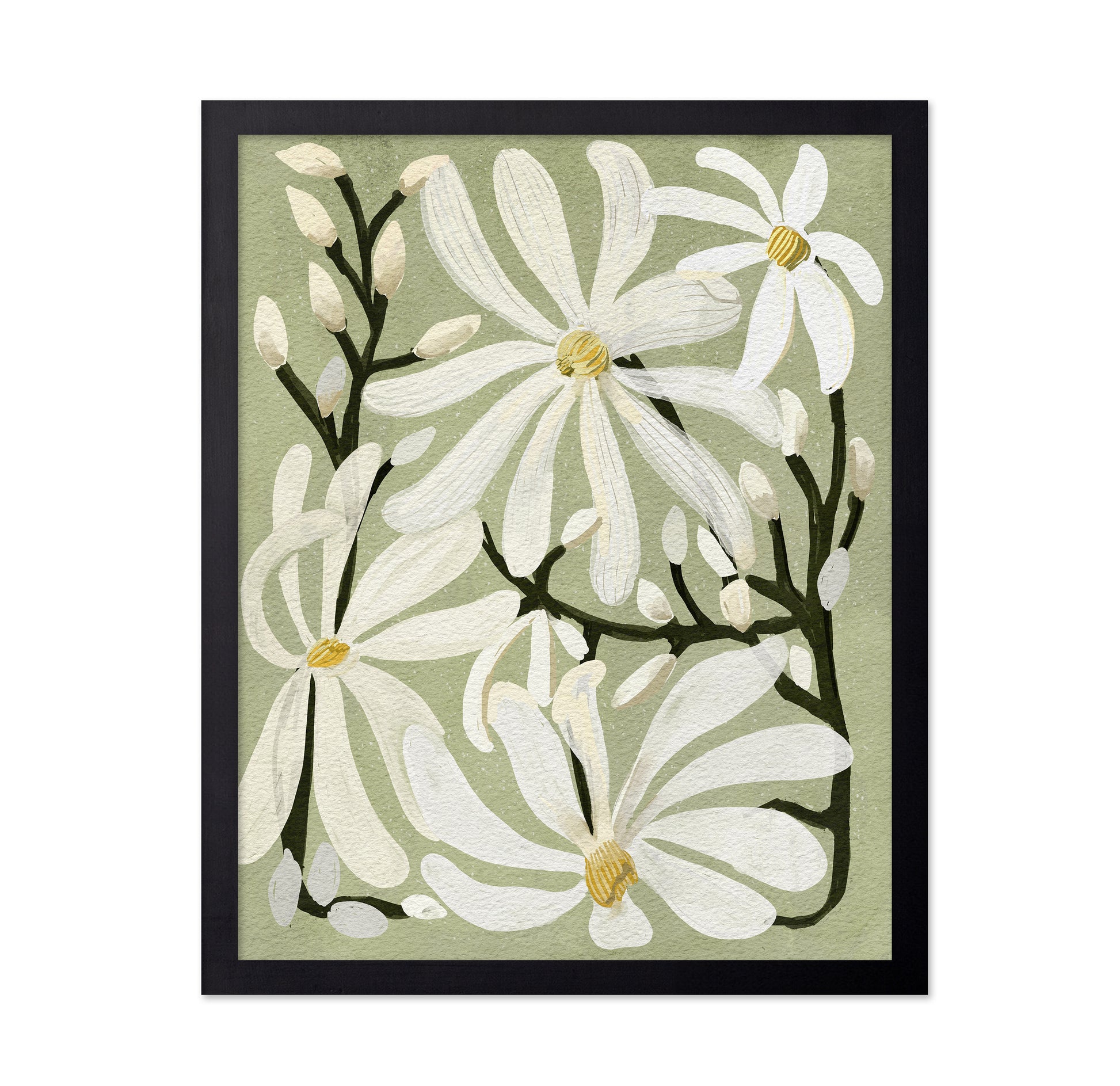 Star Magnolia Florals