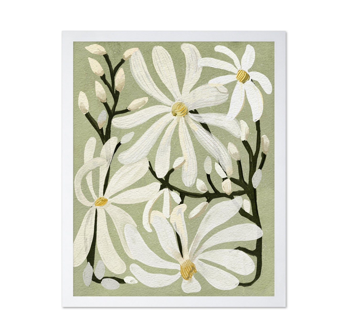 Star Magnolia Florals