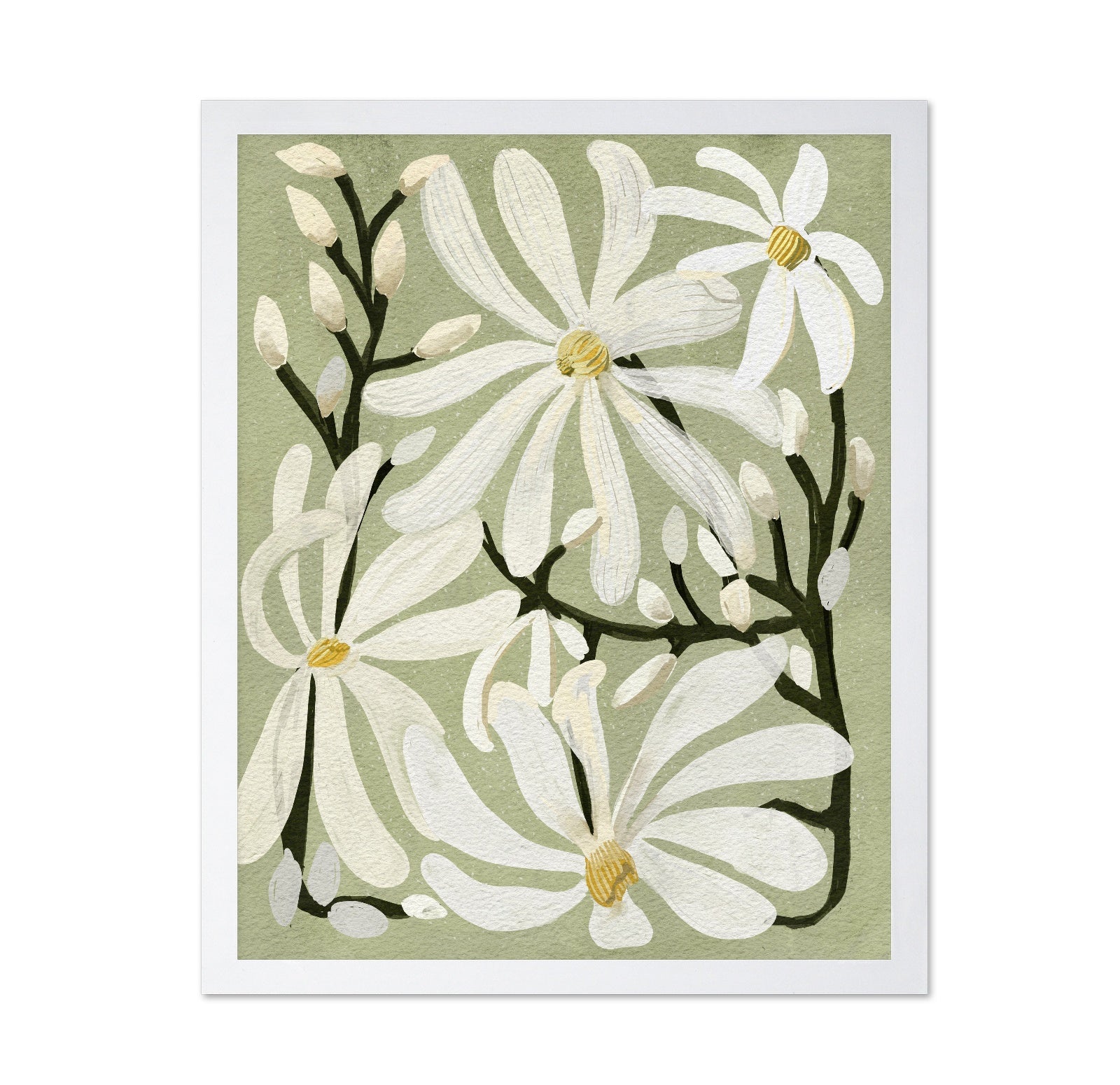 Star Magnolia Florals