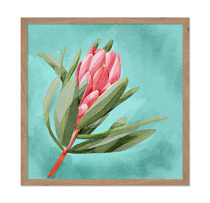 Protea