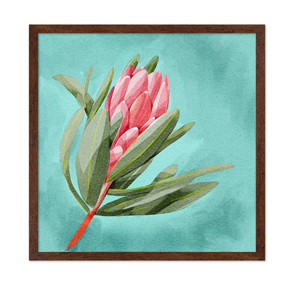 Protea