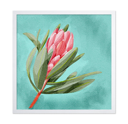 Protea