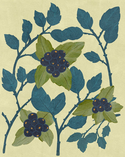 Huckleberries