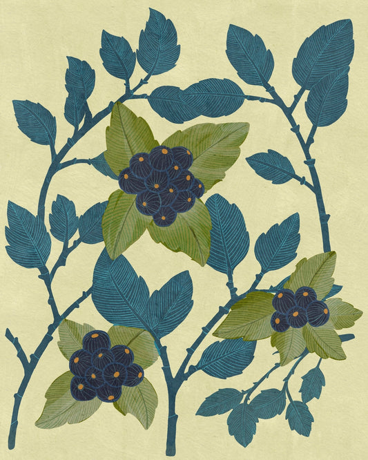 Huckleberries