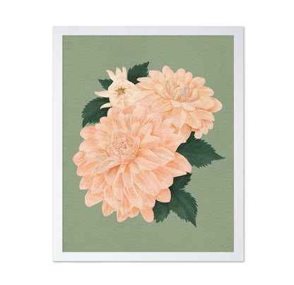 Pink Dahlias