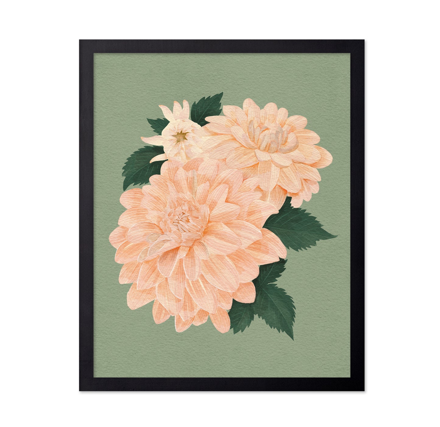 Pink Dahlias