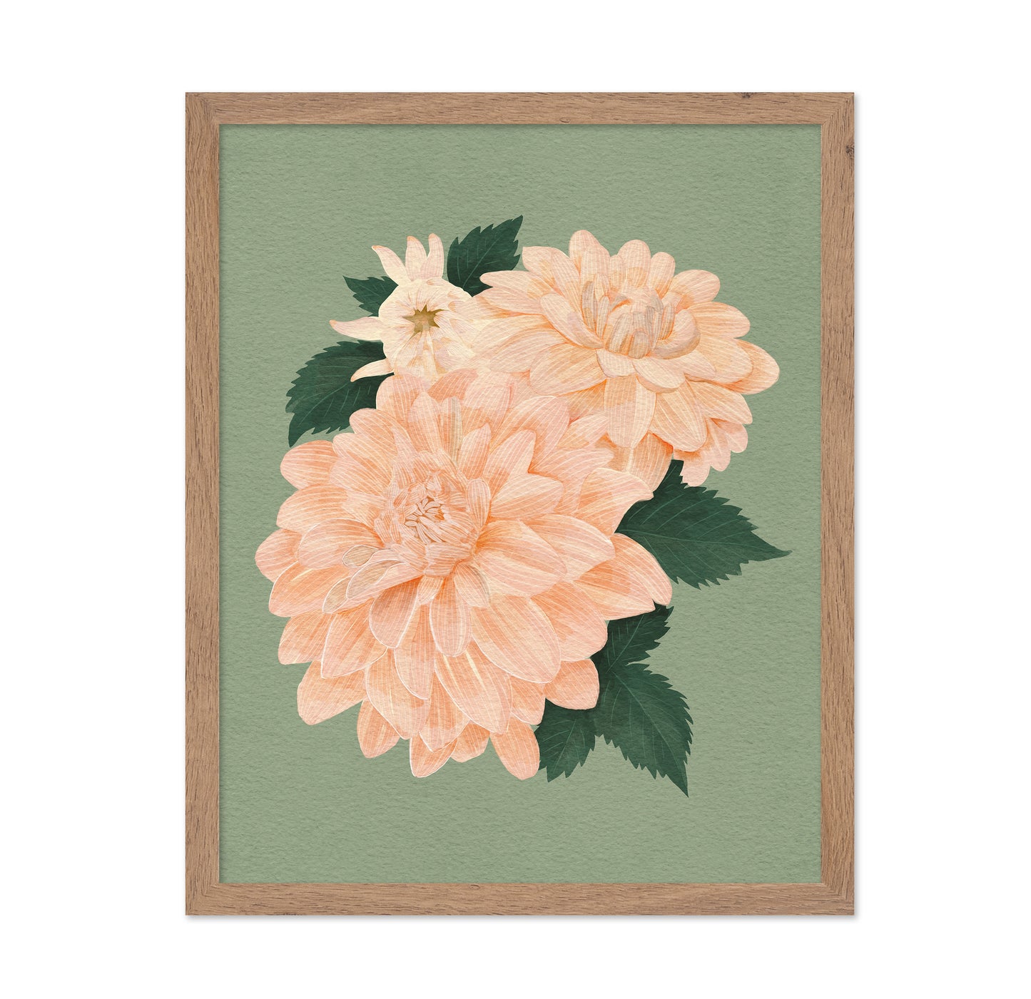 Pink Dahlias