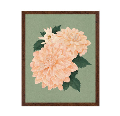 Pink Dahlias