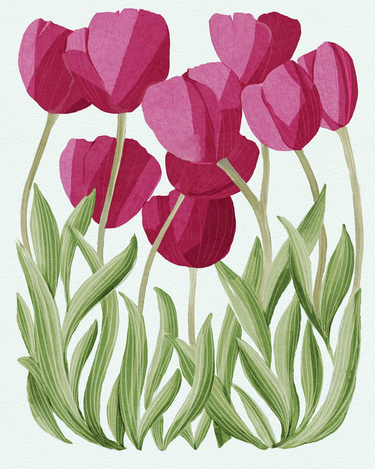 Tulips No 3