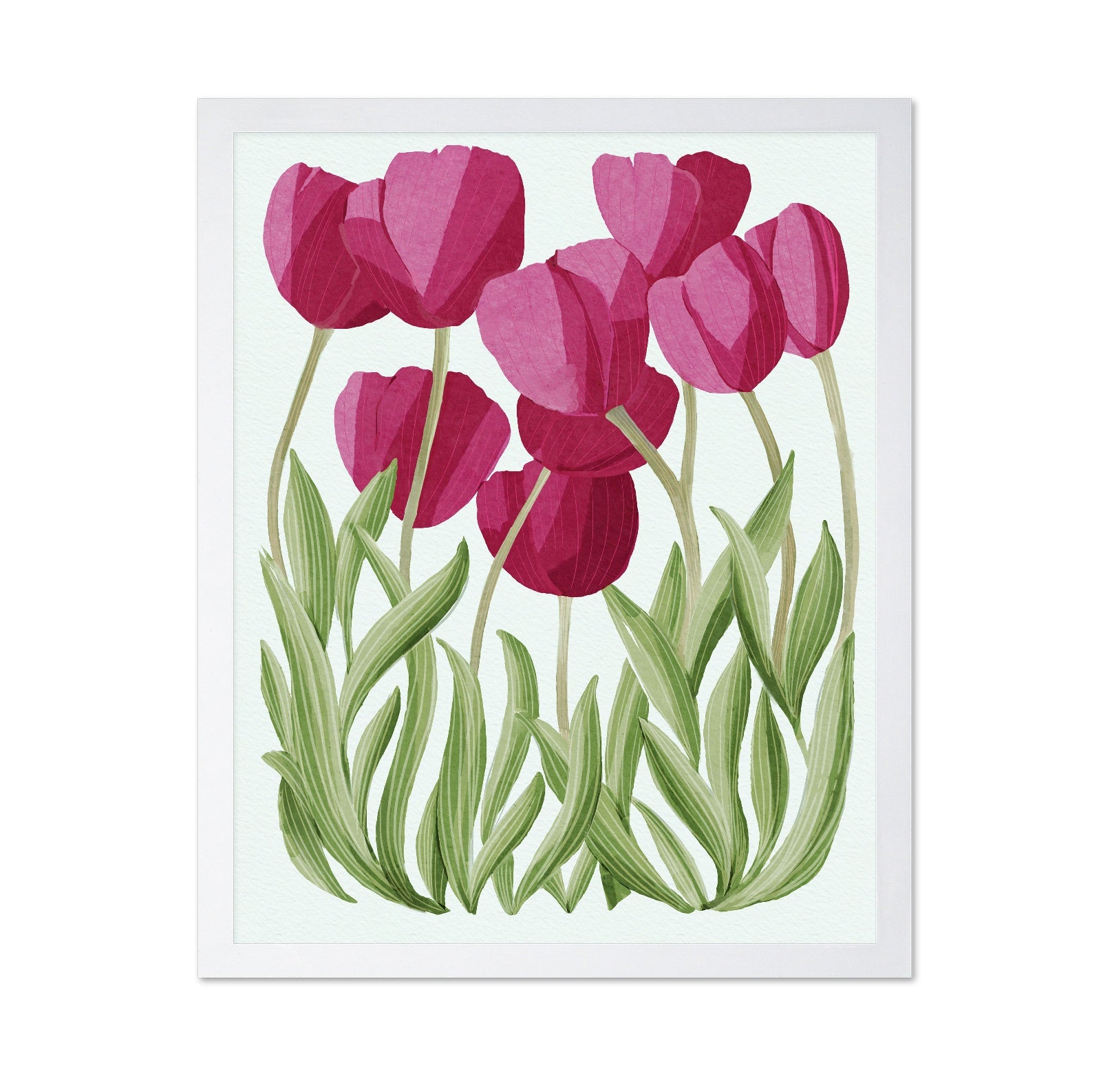 Tulips No 3