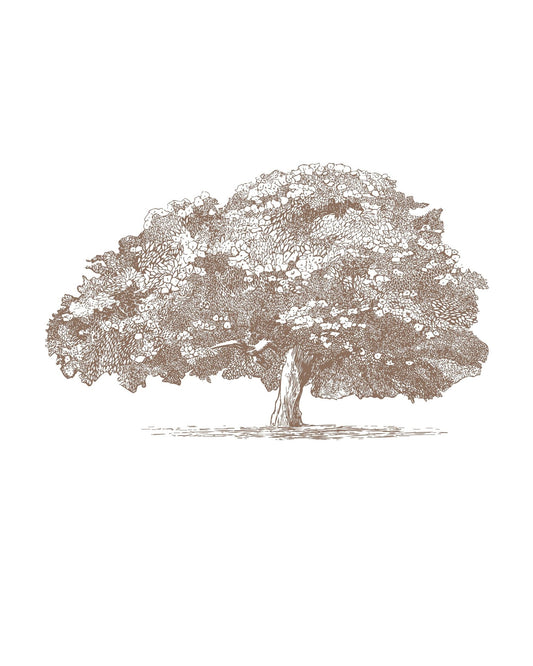 Big Tree in Brown Sepia