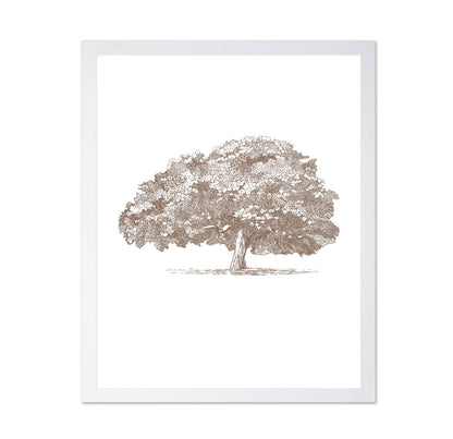 Big Tree in Brown Sepia