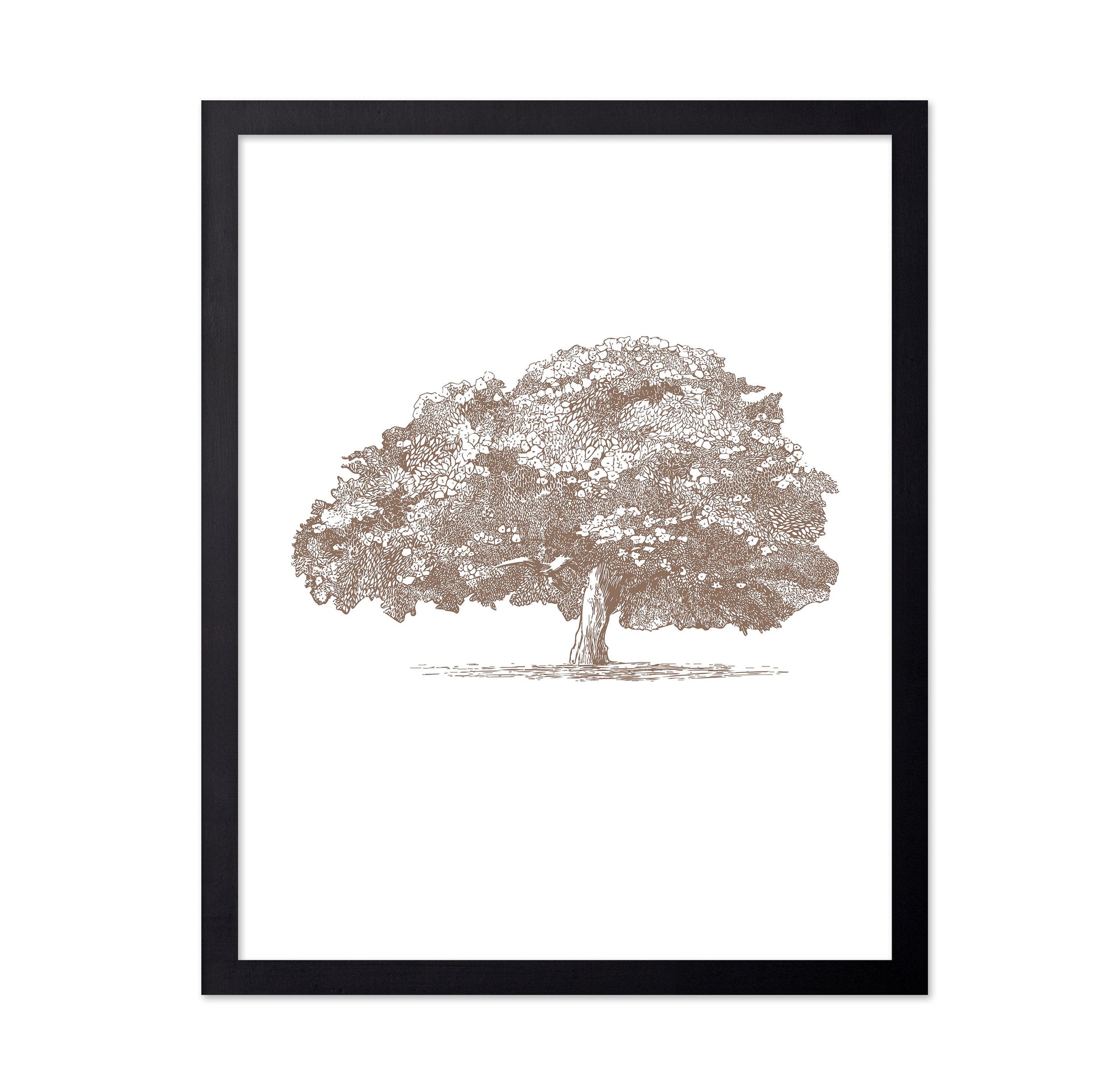 Big Tree in Brown Sepia
