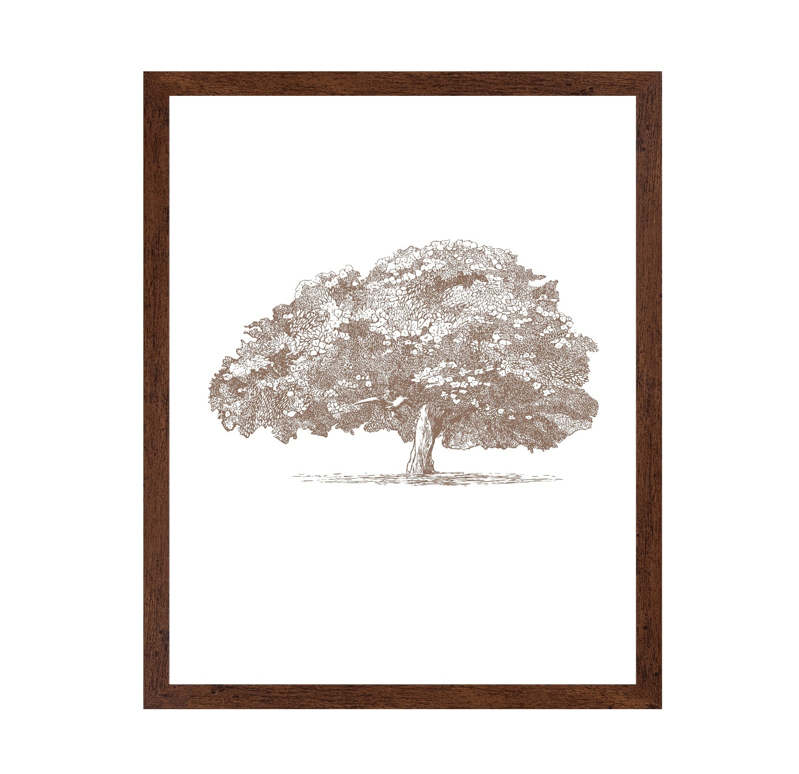 Big Tree in Brown Sepia