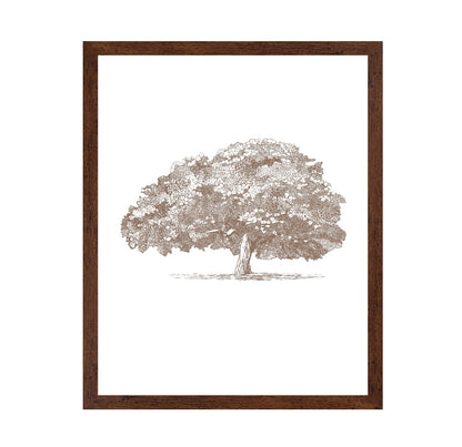 Big Tree in Brown Sepia