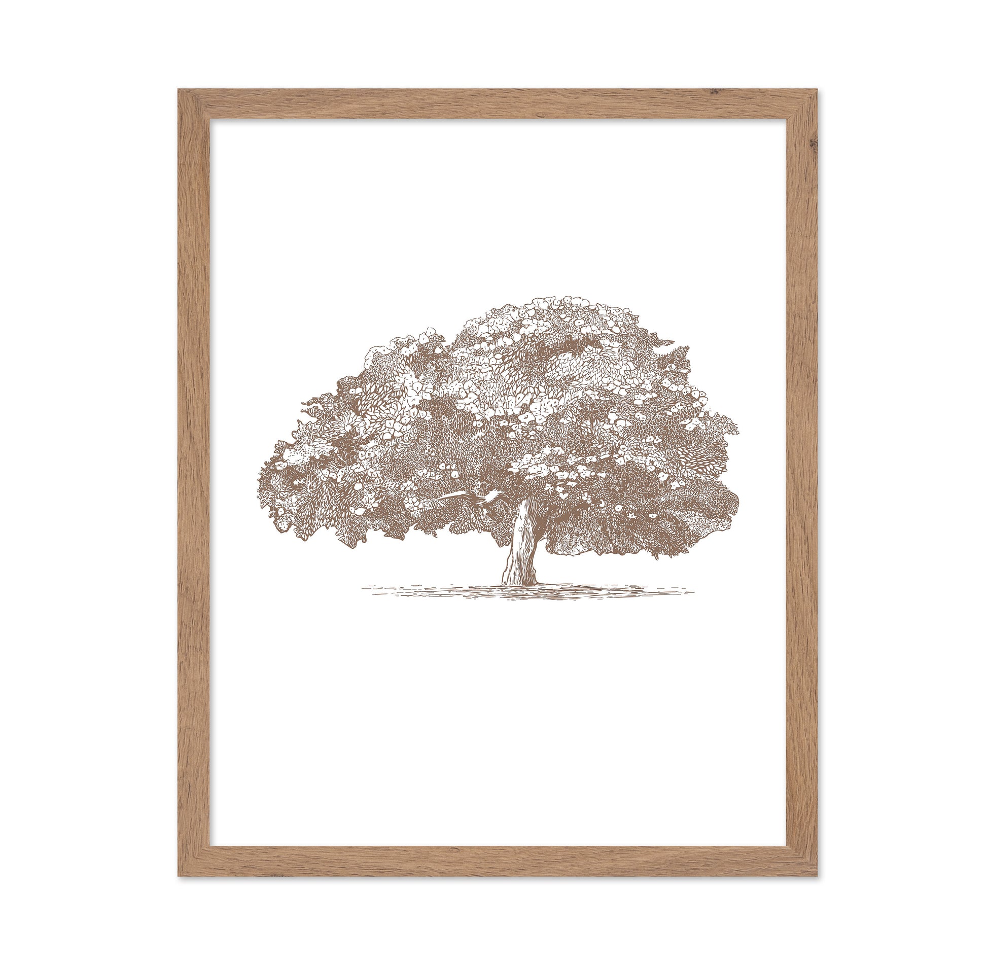 Big Tree in Brown Sepia