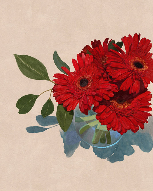 Gerbera Daisy