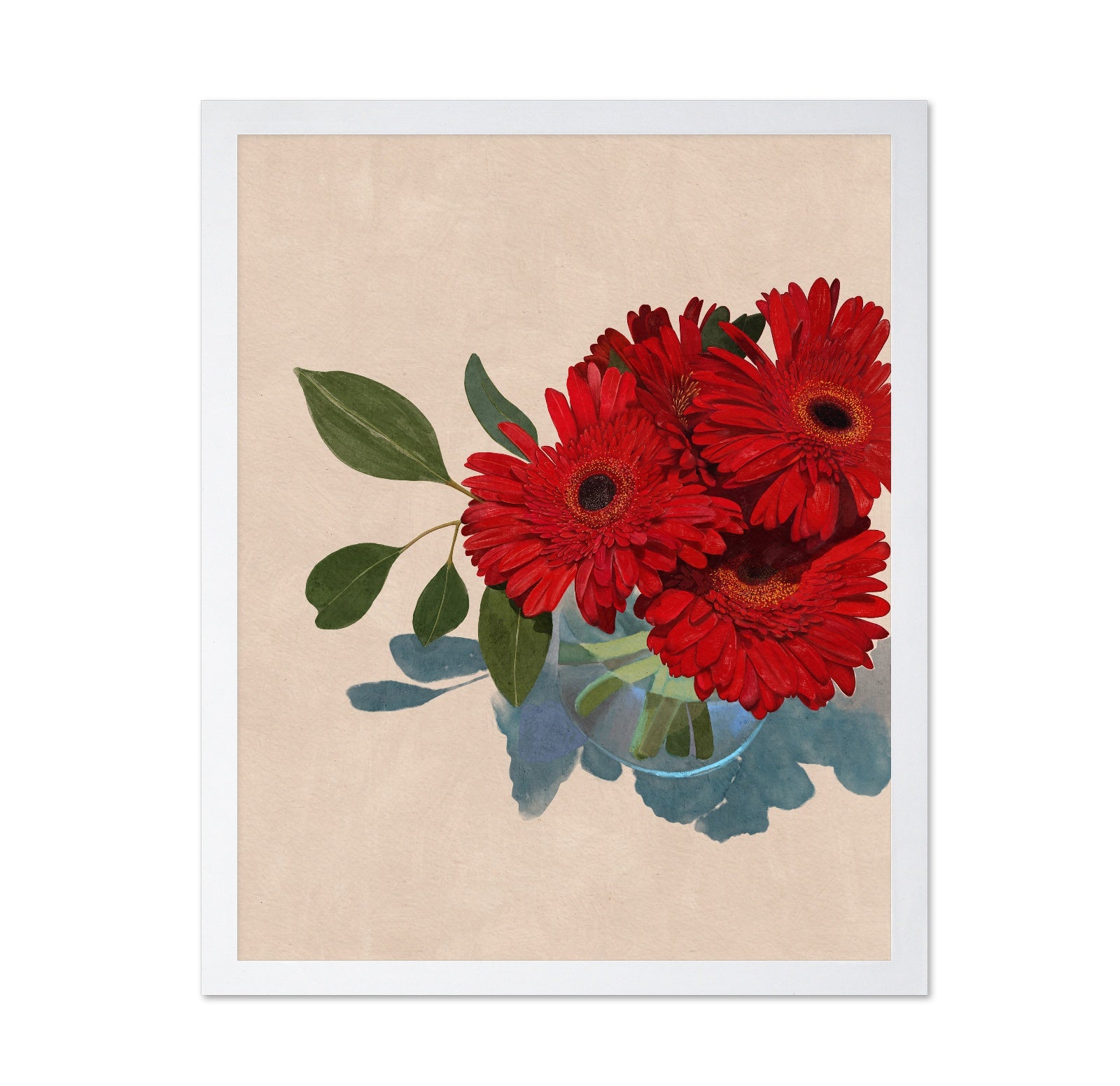 Gerbera Daisy