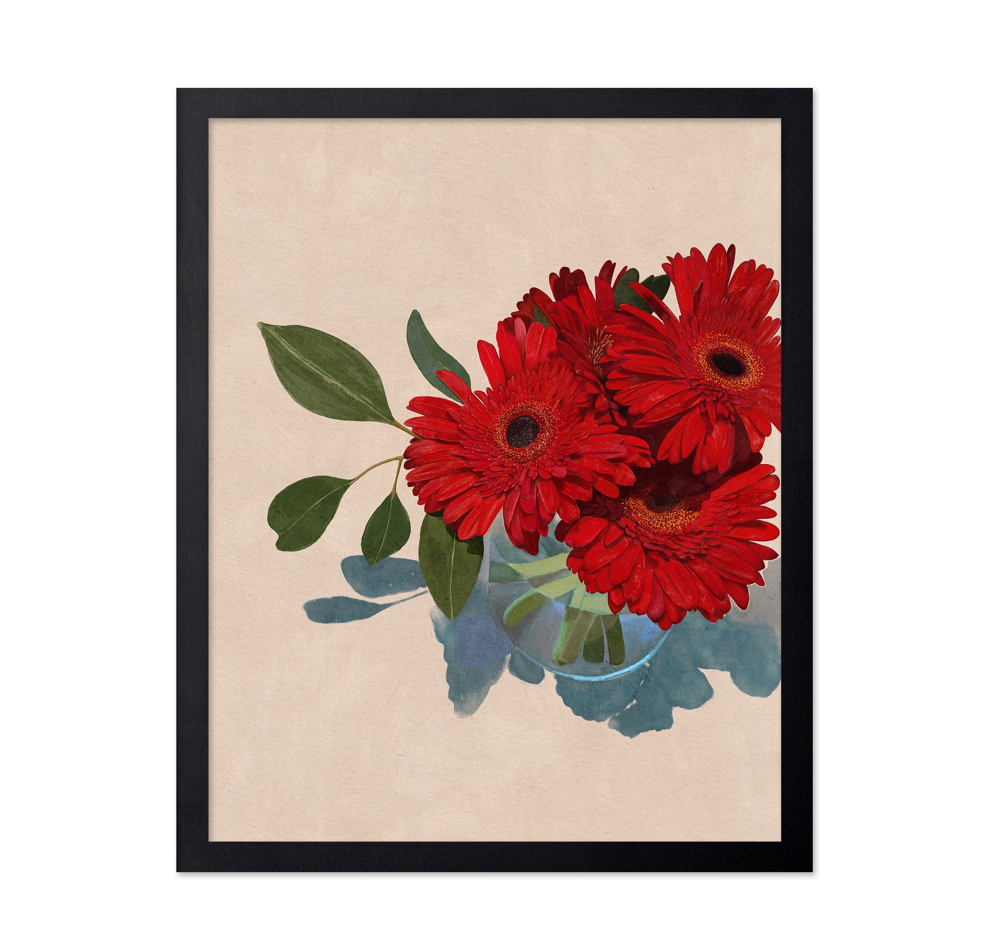 Gerbera Daisy