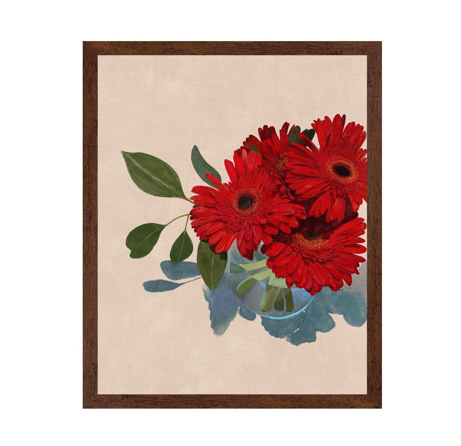 Gerbera Daisy