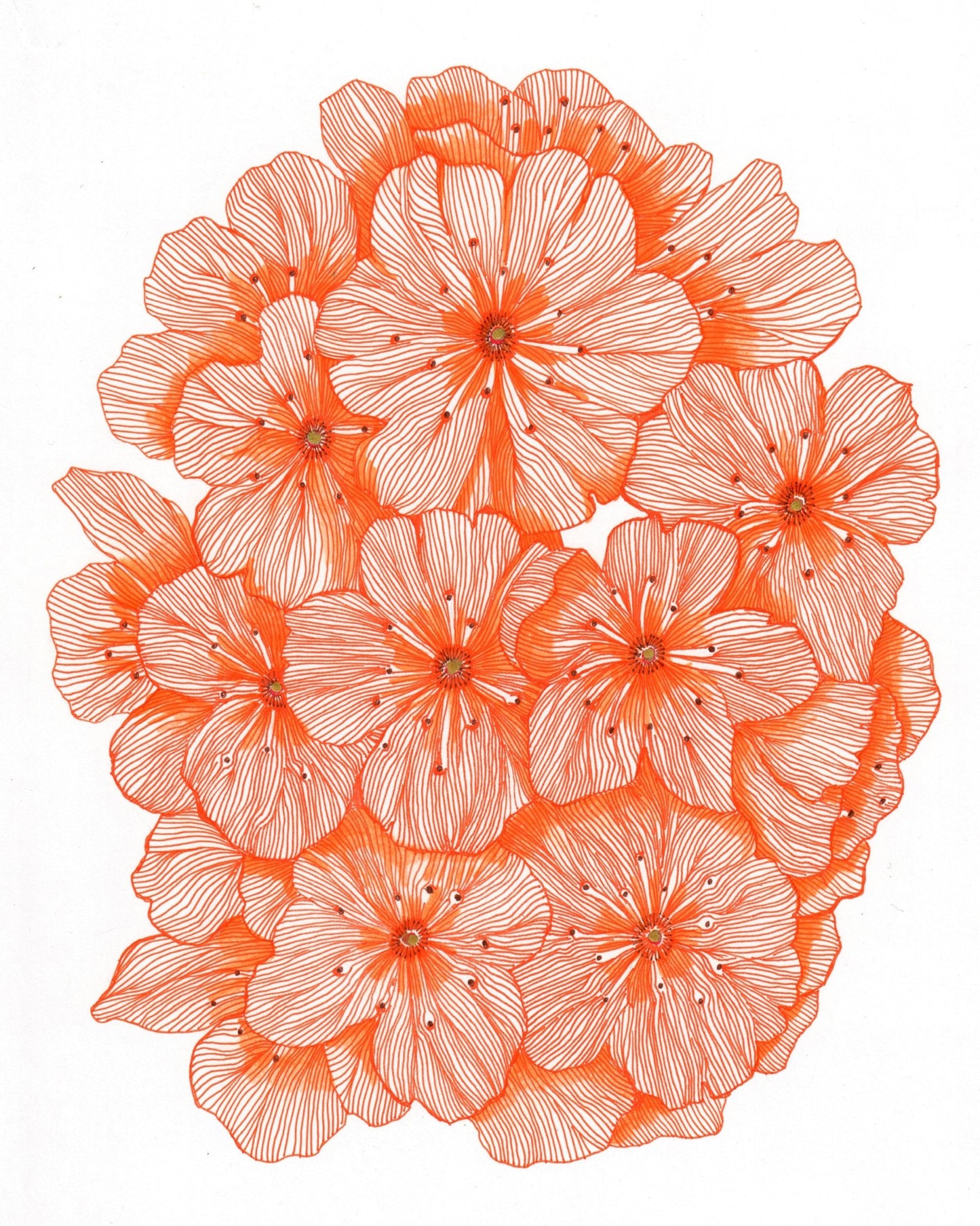 Big Orange Flowers