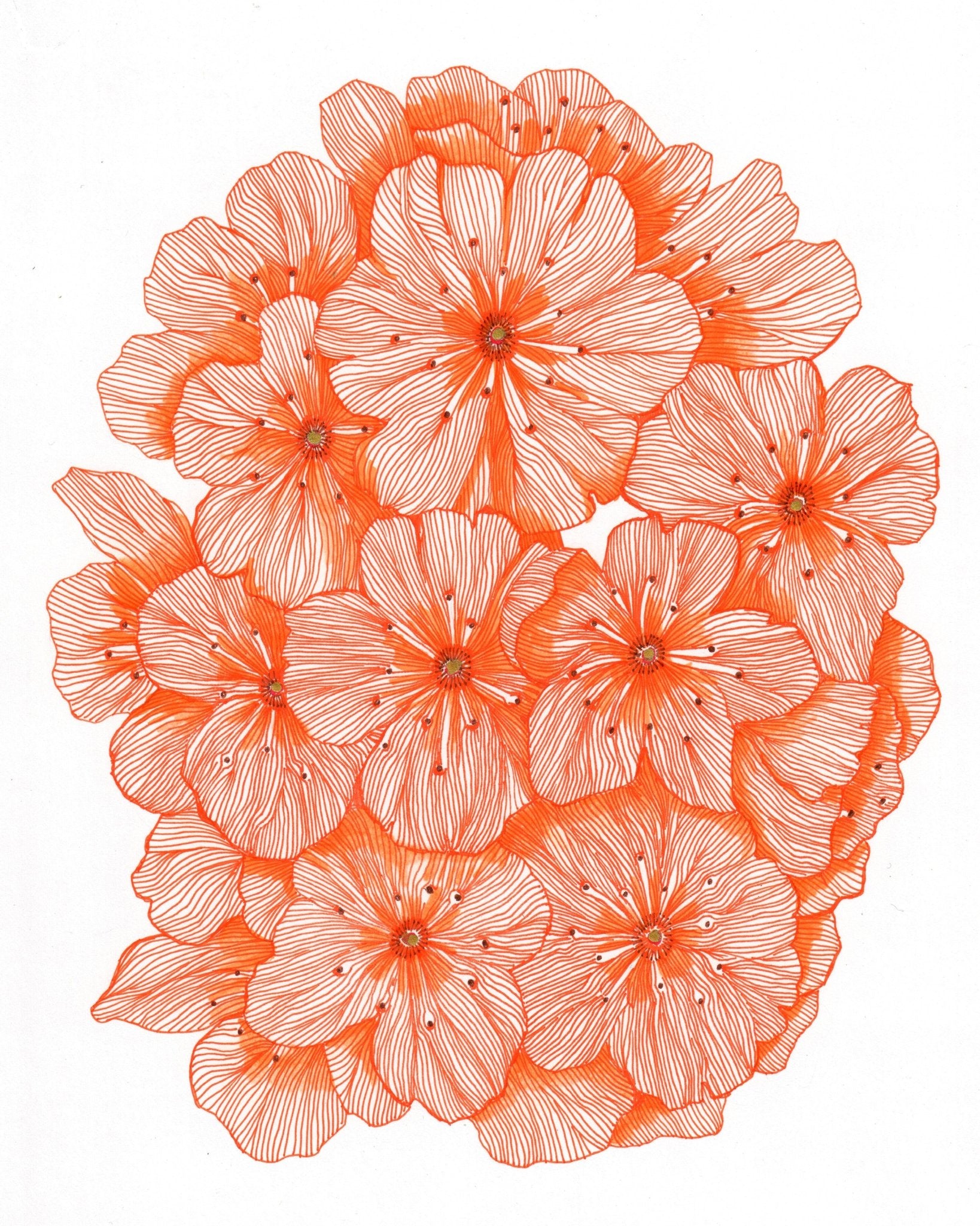 Big Orange Flowers
