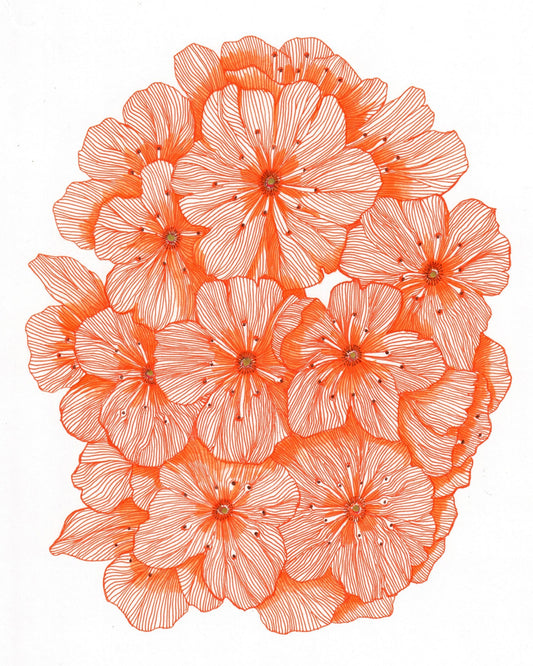 Big Orange Flowers