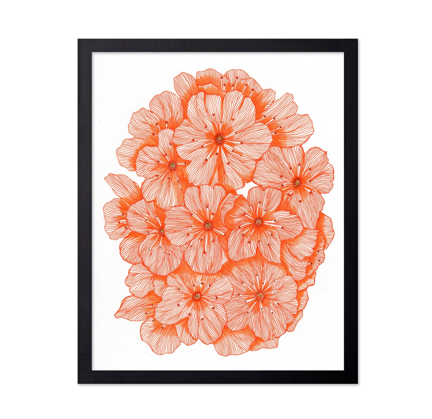 Big Orange Flowers