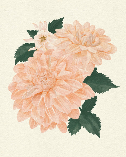 Pink Dahlia on Cream