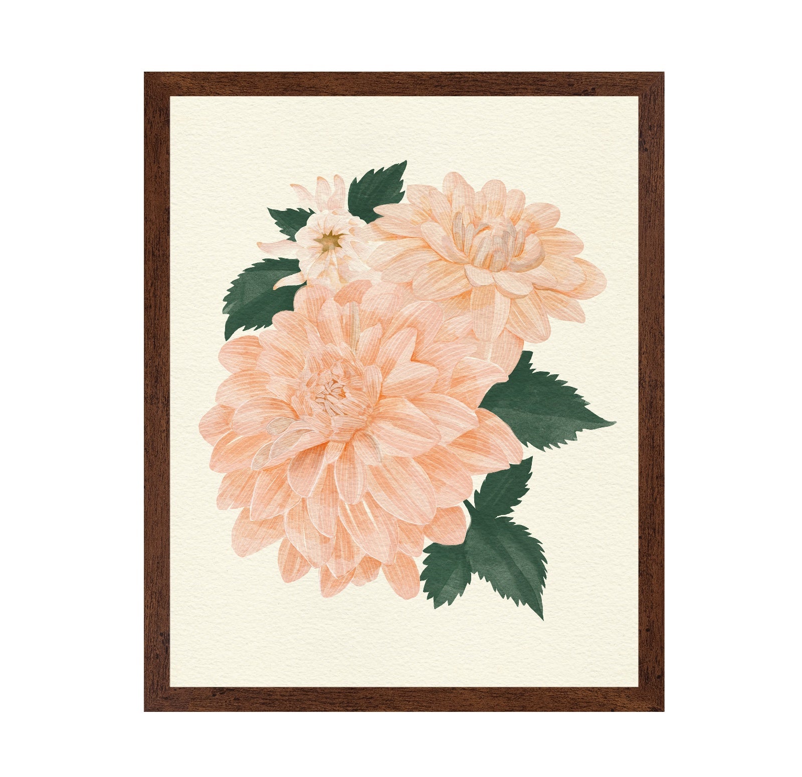 Pink Dahlia on Cream