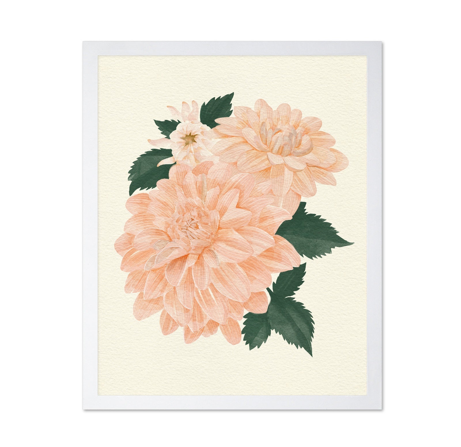 Pink Dahlia on Cream