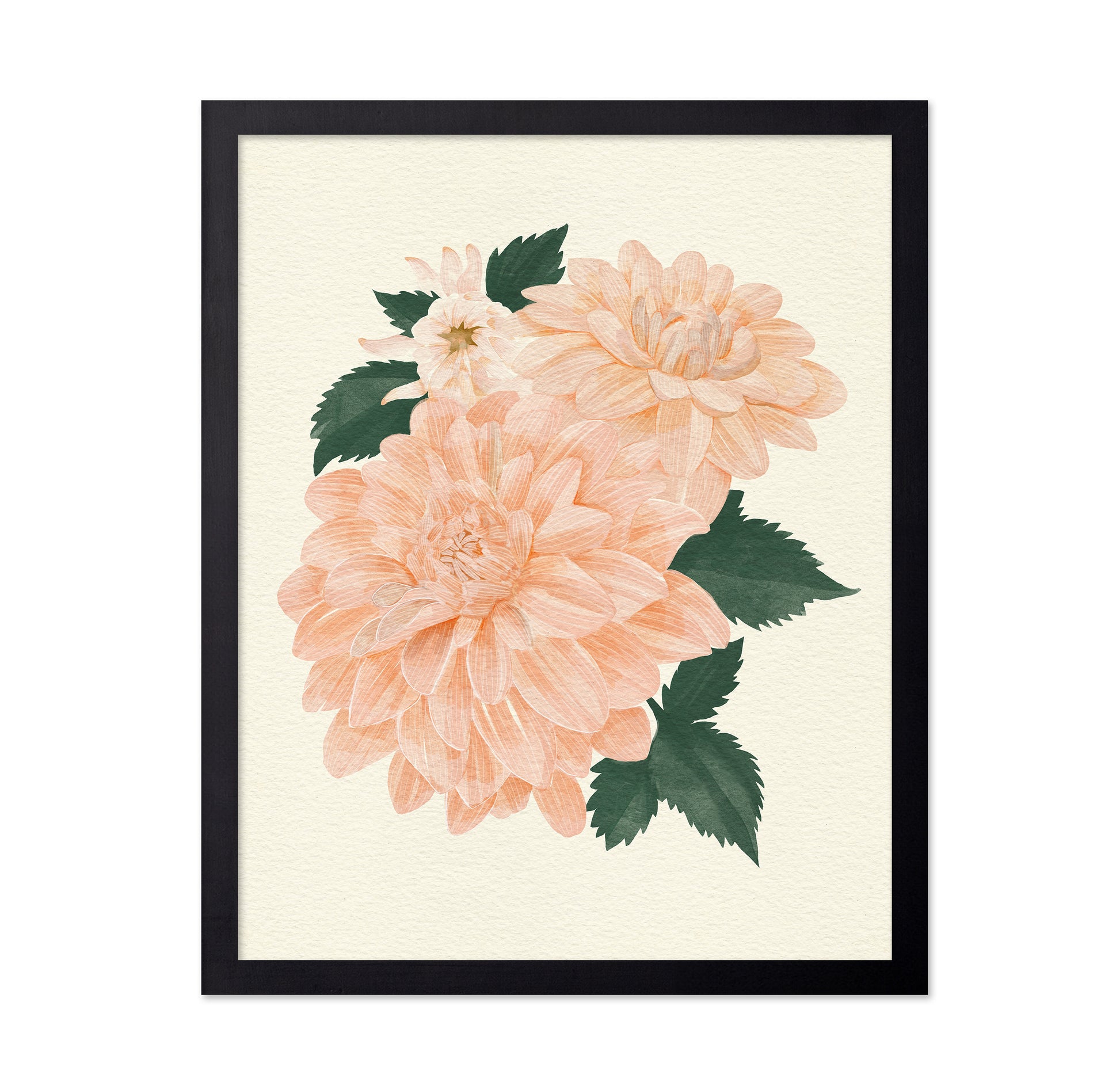Pink Dahlia on Cream
