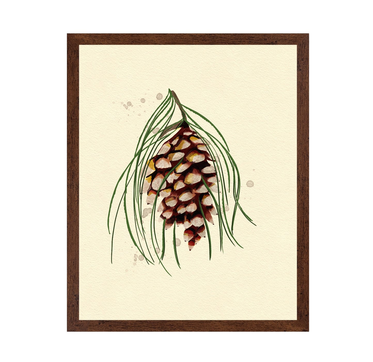 Maine White Pine Cone Copy