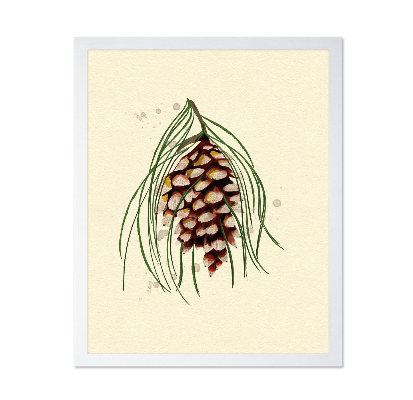 Maine White Pine Cone Copy