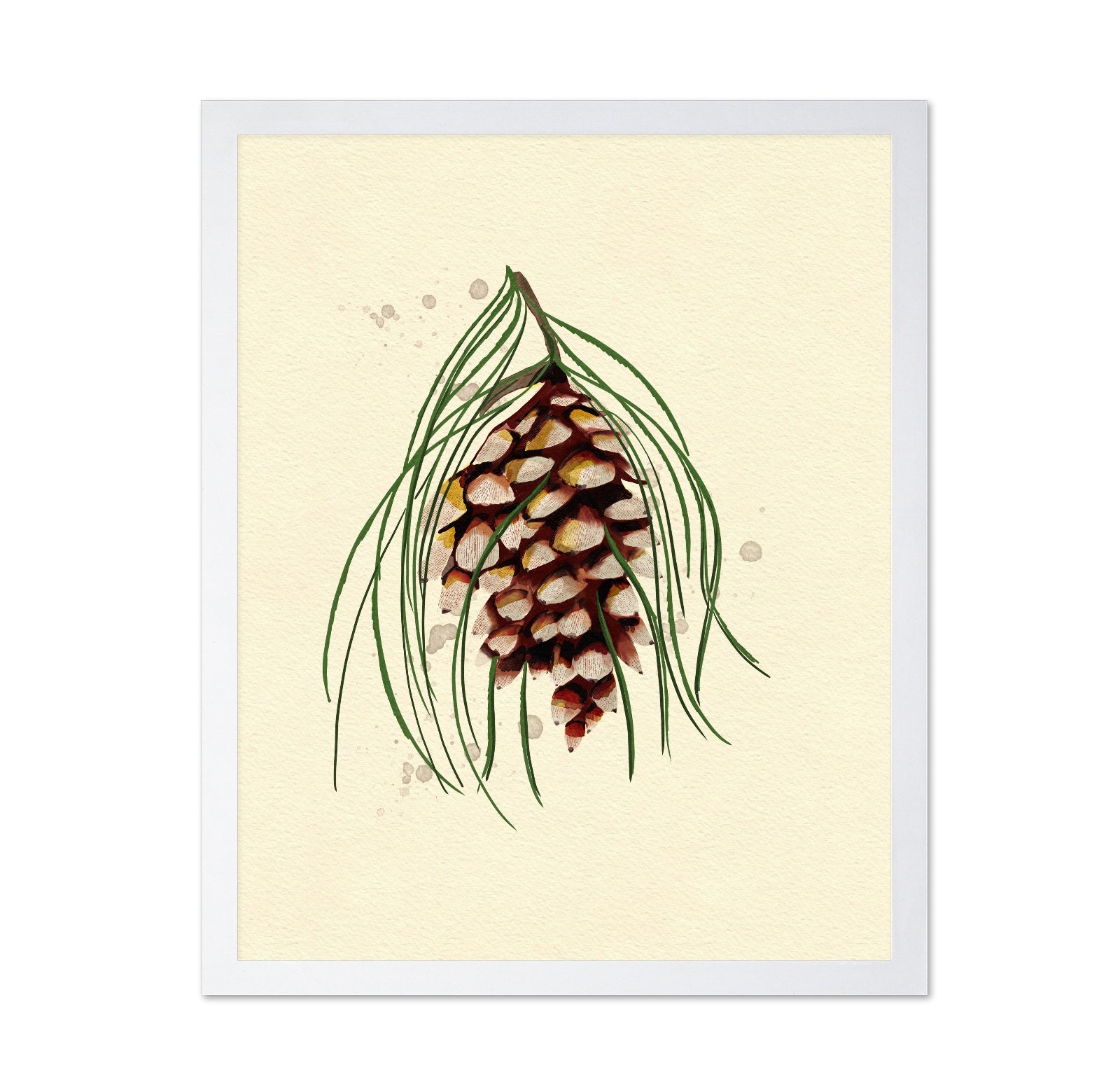 Maine White Pine Cone Copy