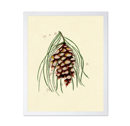 Maine White Pine Cone Copy