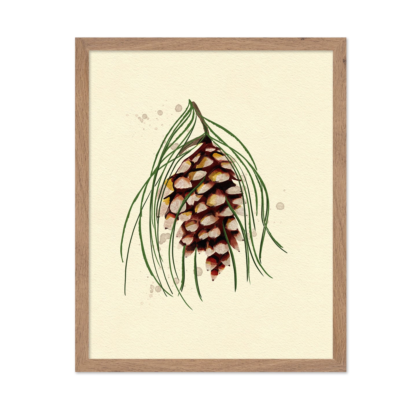 Maine White Pine Cone Copy