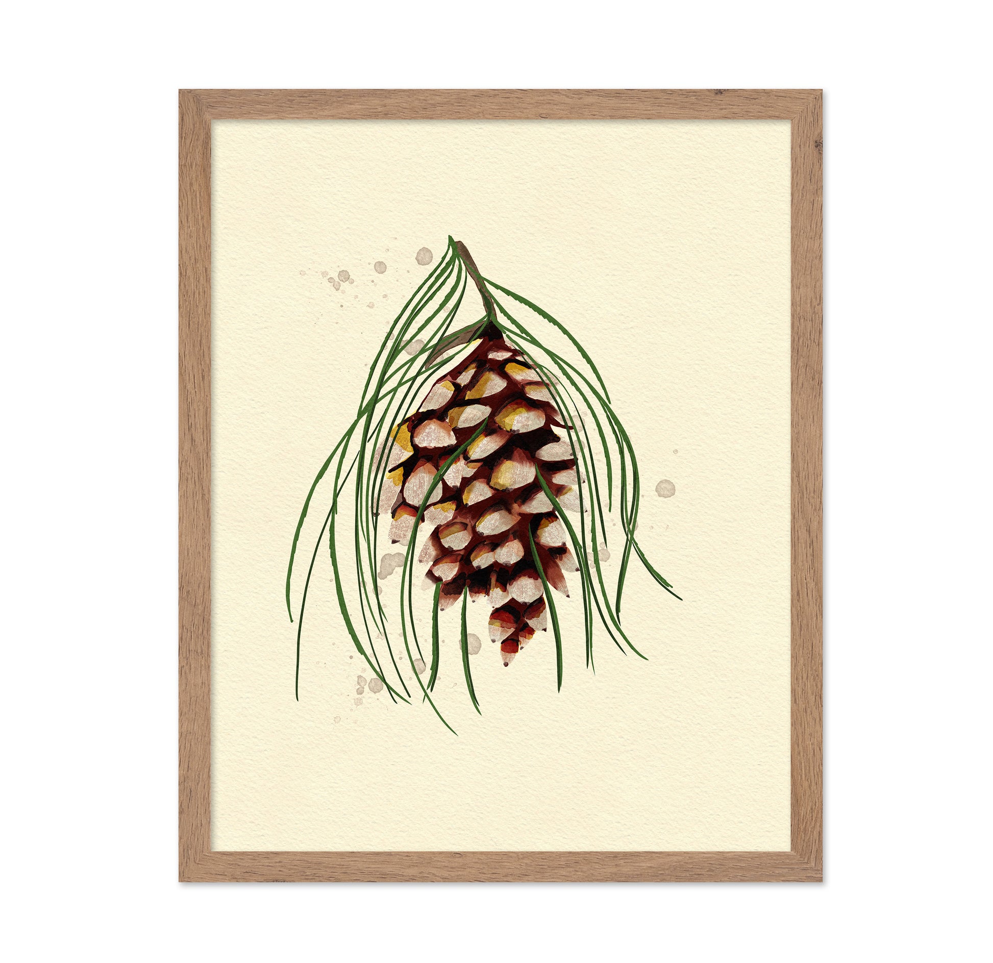 Maine White Pine Cone Copy