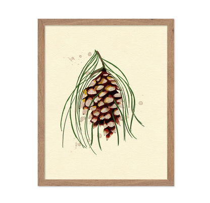 Maine White Pine Cone Copy